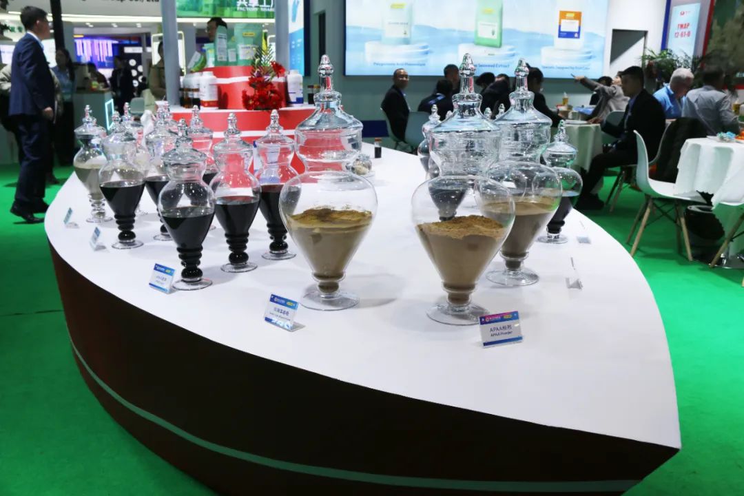 金牌赞助企业凯发k8生物全新亮相上海CAC国际农化展,以科技实力献礼25周年